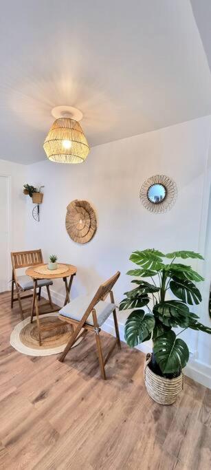 Le Boheme - Hypercentre - Wifi Apartment Toulouse Bagian luar foto